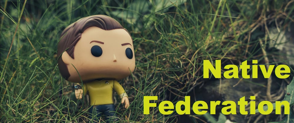 Micro Frontends with Native Federation